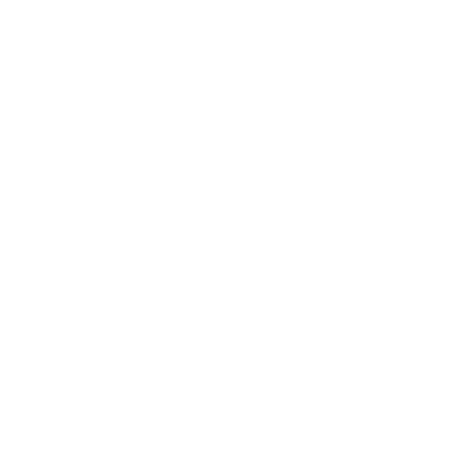 abendkleid